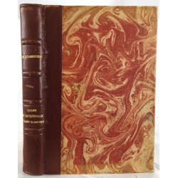 Quand les cathedrales etaient blanches Voyage au pays des timides